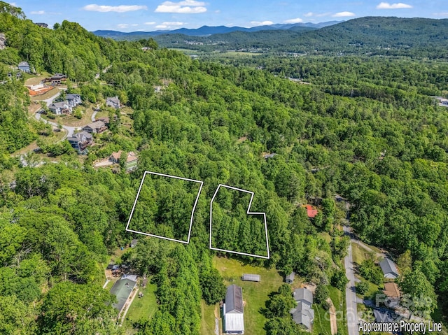 00 Hamilton Acres Dr, Hendersonville, NC 28792