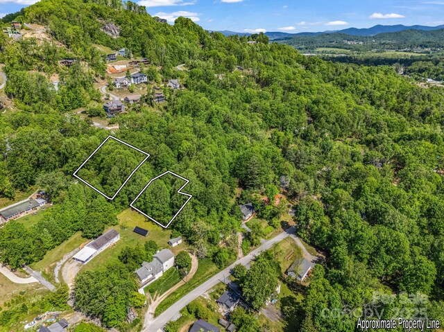 00 Hamilton Acres Dr, Hendersonville, NC 28792