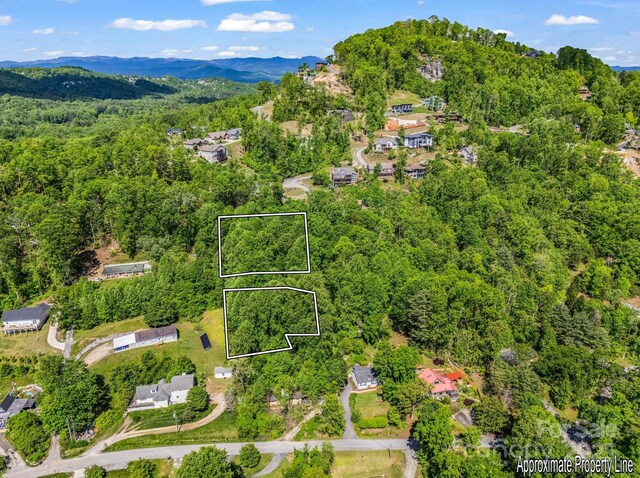 00 Hamilton Acres Dr, Hendersonville, NC 28792
