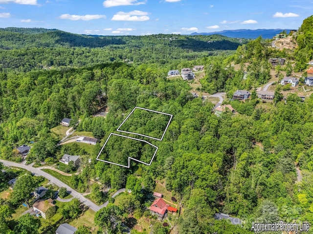 00 Hamilton Acres Dr, Hendersonville, NC 28792