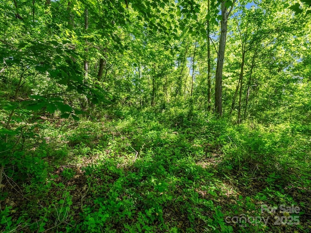 00 Hamilton Acres Dr, Hendersonville, NC 28792