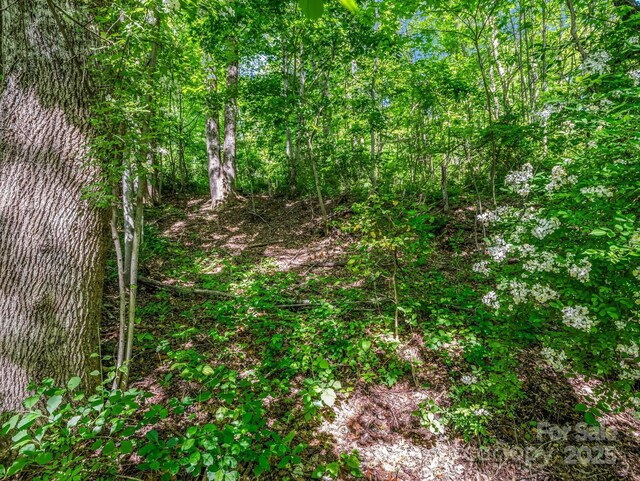 00 Hamilton Acres Dr, Hendersonville, NC 28792
