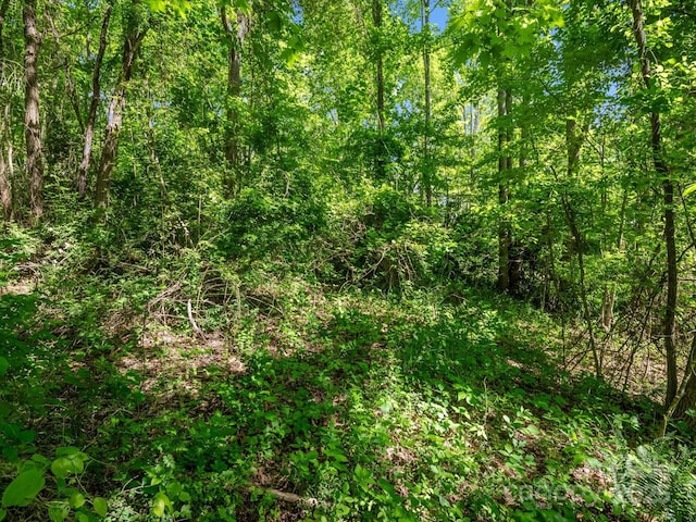 00 Hamilton Acres Dr, Hendersonville, NC 28792