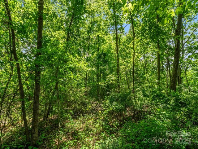 00 Hamilton Acres Dr, Hendersonville, NC 28792
