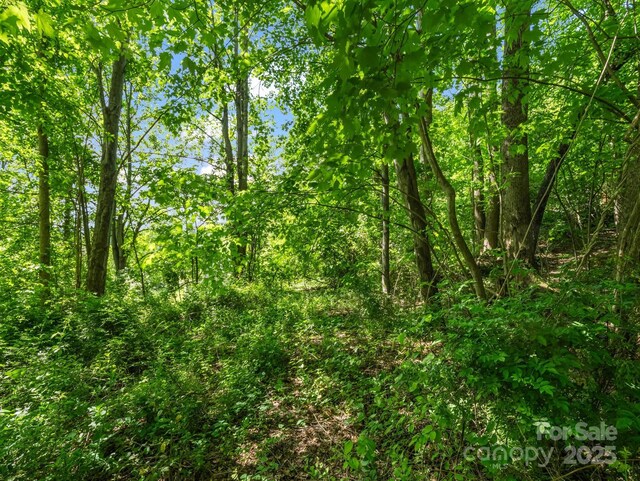 00 Hamilton Acres Dr, Hendersonville, NC 28792