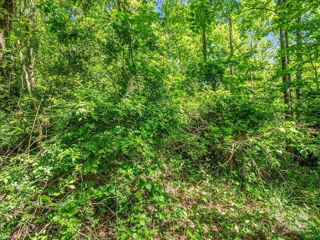 00 Hamilton Acres Dr, Hendersonville, NC 28792