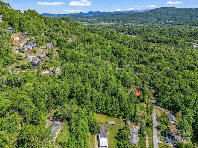 00 Hamilton Acres Dr, Hendersonville, NC 28792