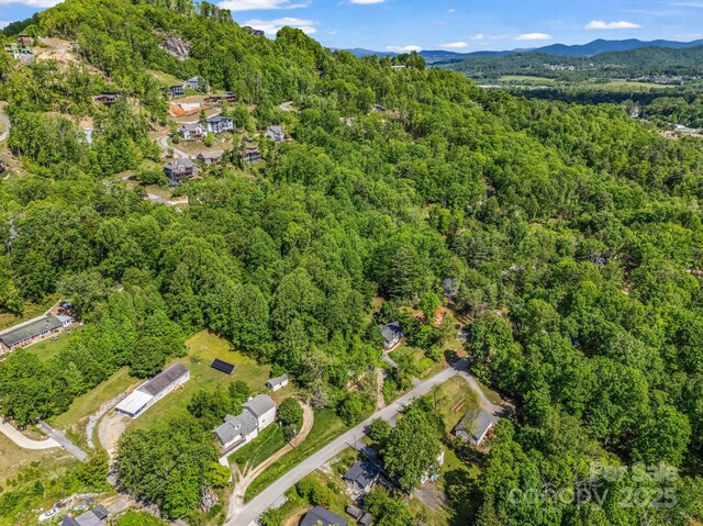 00 Hamilton Acres Dr, Hendersonville, NC 28792