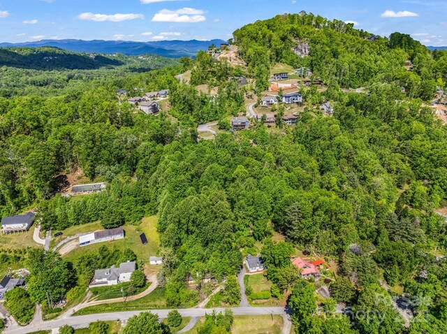 00 Hamilton Acres Dr, Hendersonville, NC 28792