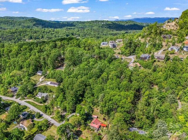 00 Hamilton Acres Dr, Hendersonville, NC 28792