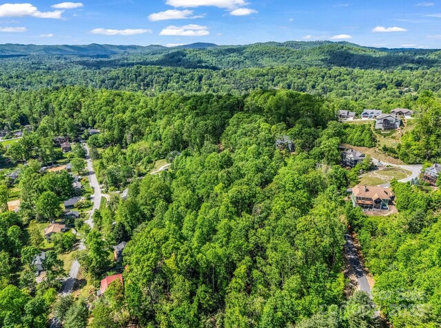 00 Hamilton Acres Dr, Hendersonville, NC 28792