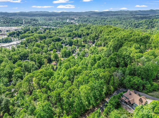 00 Hamilton Acres Dr, Hendersonville, NC 28792