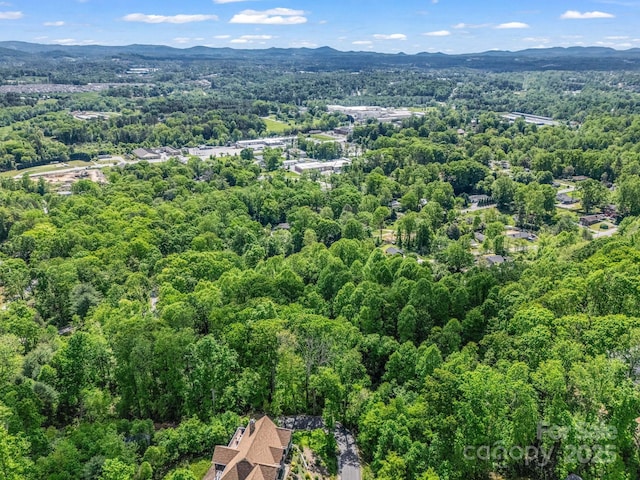 00 Hamilton Acres Dr, Hendersonville, NC 28792