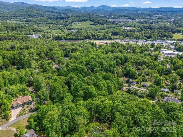 00 Hamilton Acres Dr, Hendersonville, NC 28792