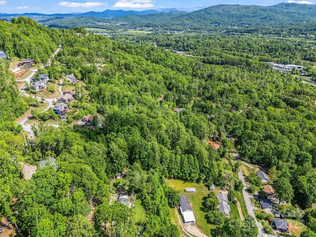 00 Hamilton Acres Dr, Hendersonville, NC 28792