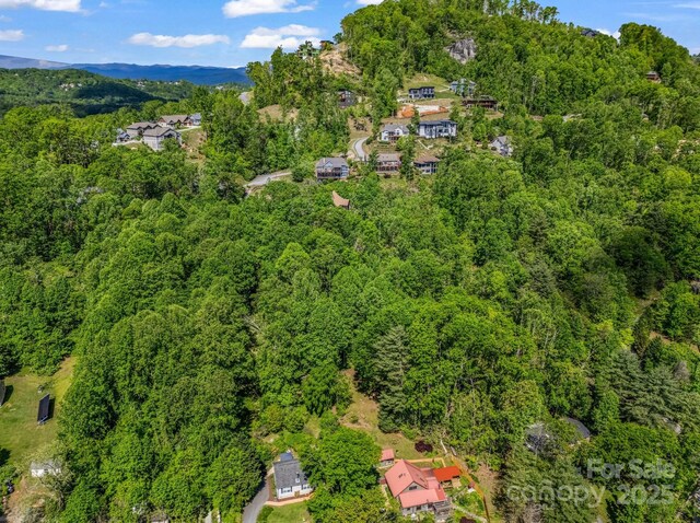 00 Hamilton Acres Dr, Hendersonville, NC 28792