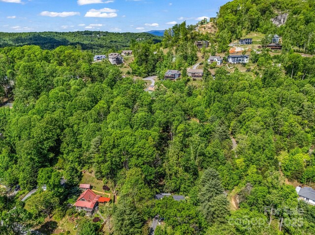 00 Hamilton Acres Dr, Hendersonville, NC 28792