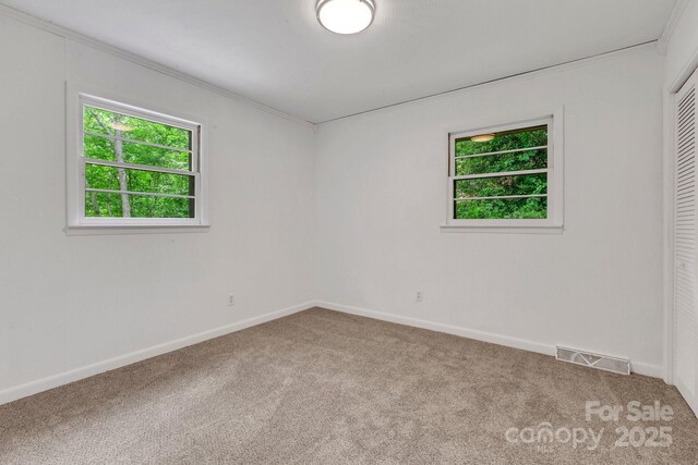 137 Flynn Branch Rd, Asheville, NC 28804 - photo 27