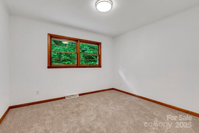 137 Flynn Branch Rd, Asheville, NC 28804 - photo 29