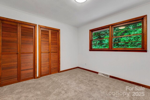 137 Flynn Branch Rd, Asheville, NC 28804 - photo 30