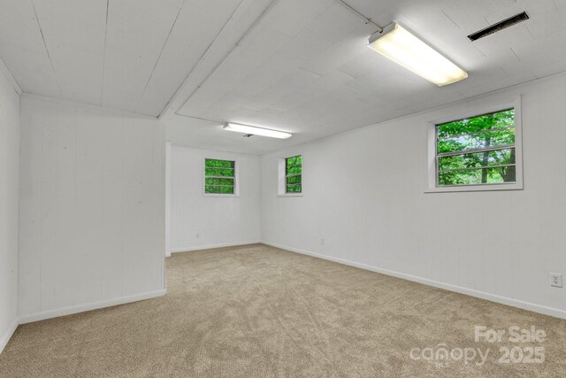 137 Flynn Branch Rd, Asheville, NC 28804 - photo 31