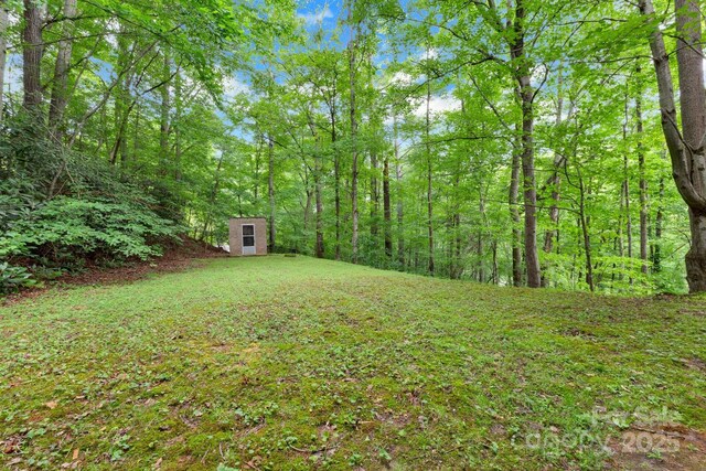 137 Flynn Branch Rd, Asheville, NC 28804 - photo 36