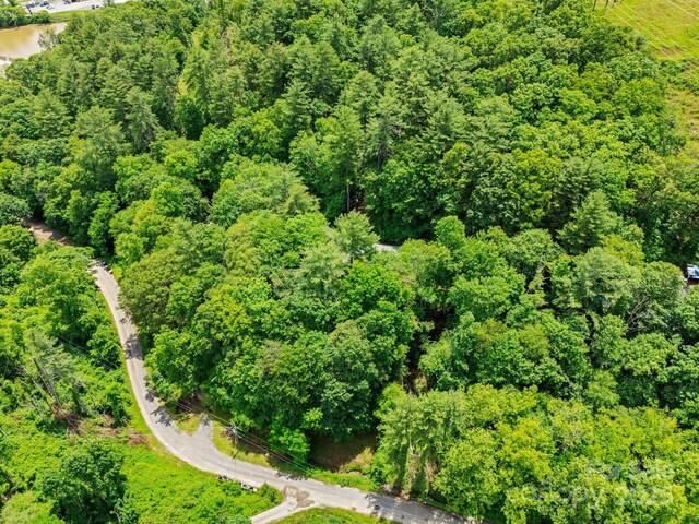 137 Flynn Branch Rd, Asheville, NC 28804 - photo 44