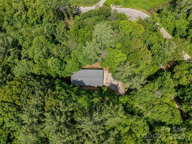 137 Flynn Branch Rd, Asheville, NC 28804 - photo 45