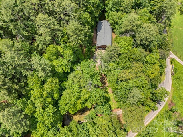 137 Flynn Branch Rd, Asheville, NC 28804 - photo 46