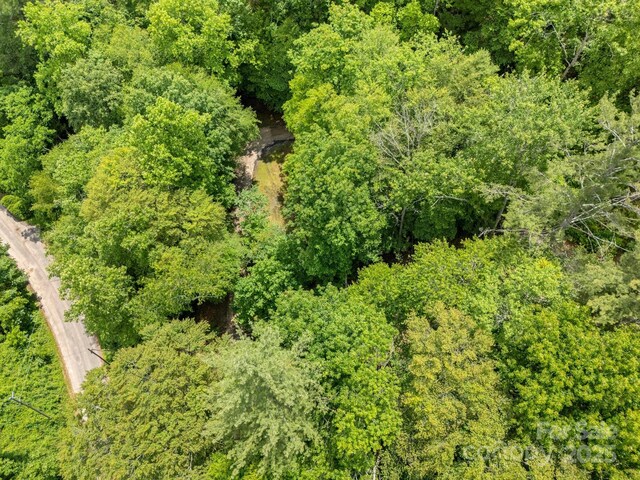 137 Flynn Branch Rd, Asheville, NC 28804 - photo 47