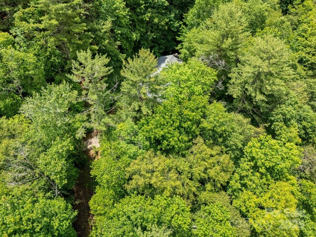 137 Flynn Branch Rd, Asheville, NC 28804 - photo 48