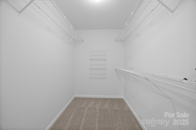 1321 Land Grant Rd, Charlotte, NC 28217 - walk in closet featuring carpet