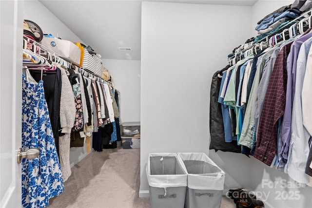 15630 Oleander Dr, Charlotte, NC 28278 - spacious closet featuring carpet flooring
