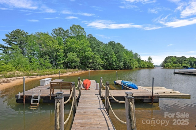17938 John Connor Rd, Cornelius, NC 28031 - photo 37