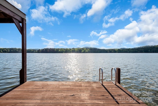 204 Ridge Dr Unit 12 12-1 12-2, Troy, NC 27371 - dock with a water view and a forest view