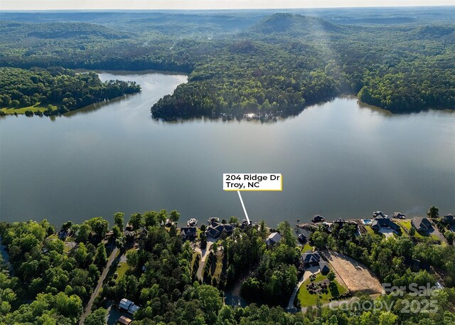 204 Ridge Dr Unit 12 12-1 12-2, Troy, NC 27371 - view of property location featuring a forest and a nearby body of water
