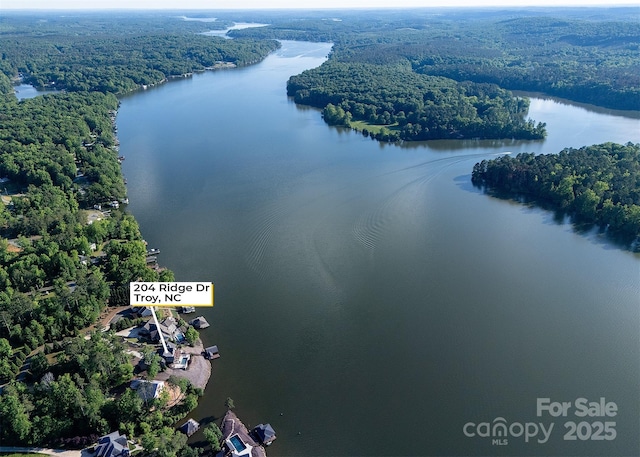 204 Ridge Dr Unit 12 12-1 12-2, Troy, NC 27371 - view of property location featuring a forest and a large body of water