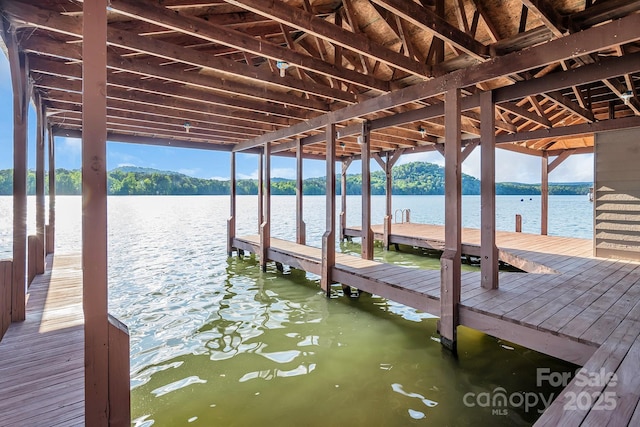 204 Ridge Dr Unit 12 12-1 12-2, Troy, NC 27371 - dock with boat lift and a water view