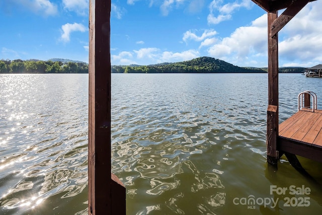 204 Ridge Dr Unit 12 12-1 12-2, Troy, NC 27371 - dock area with a water view