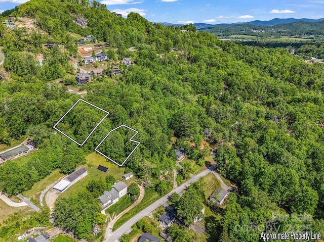 88 Hamilton Acres Dr, Hendersonville, NC 28791 - photo 3