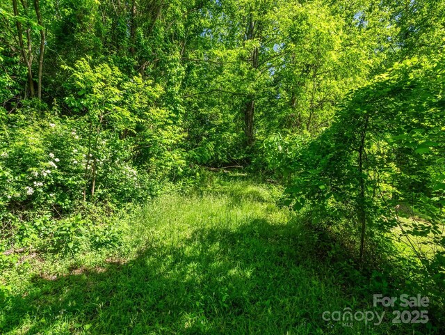 88 Hamilton Acres Dr, Hendersonville, NC 28791 - photo 6