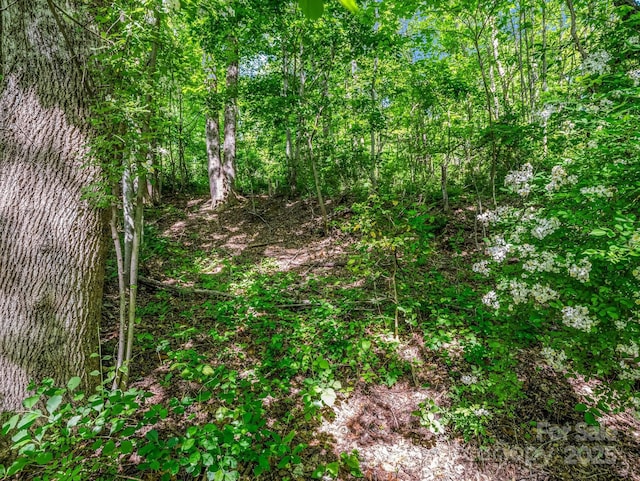 88 Hamilton Acres Dr, Hendersonville, NC 28791 - photo 8