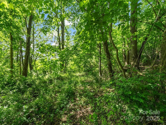 88 Hamilton Acres Dr, Hendersonville, NC 28791 - photo 11