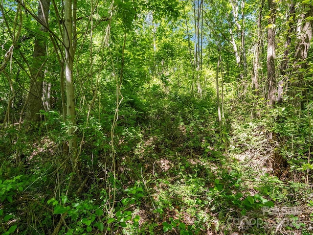 88 Hamilton Acres Dr, Hendersonville, NC 28791 - photo 12