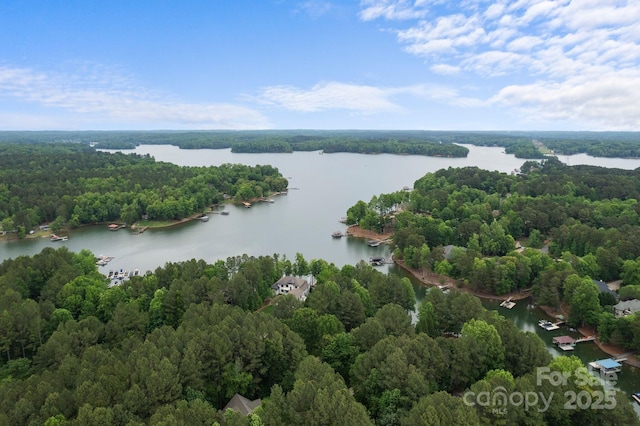 2200 Capes Cove Dr, Sherrills Ford, NC 28673 - photo 45