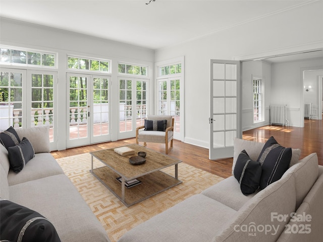 316 Vanderbilt Rd, Asheville, NC 28803 - living area featuring french doors, radiator heating unit, baseboards, and wood finished floors