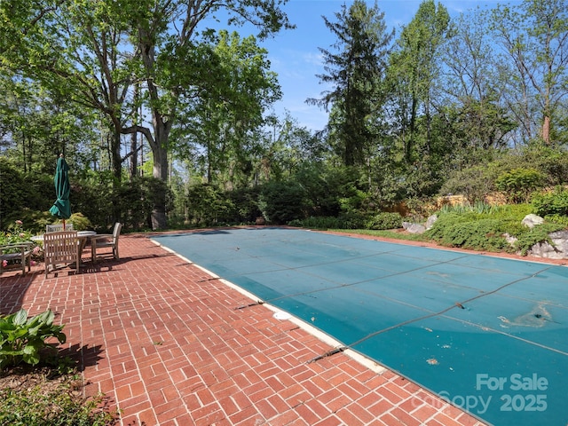 316 Vanderbilt Rd, Asheville, NC 28803 - view of pool with a patio and a covered pool