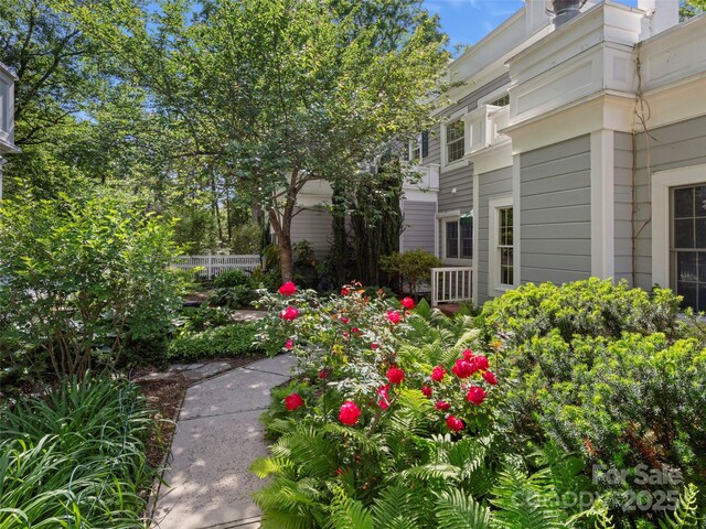 316 Vanderbilt Rd, Asheville, NC 28803 - view of yard