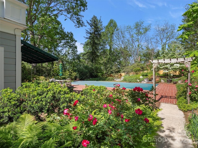 316 Vanderbilt Rd, Asheville, NC 28803 - view of yard with a pergola, a pool, and view of wooded area