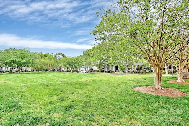 6705 E Douglas Park Dr, Huntersville, NC 28078 - photo 20